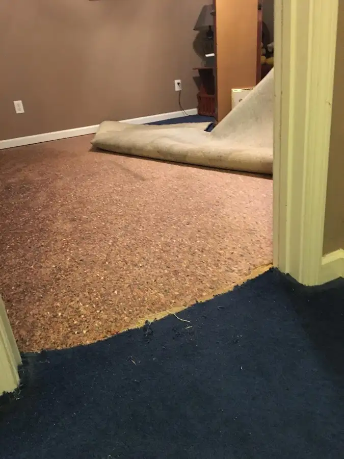 Carpet pad removal revealing water damage during Water Mitigation Services in Belleville