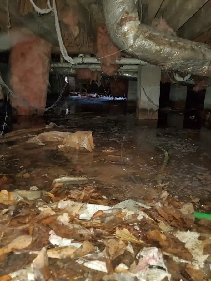 Crawl space flood assessment for Leak Detection & Repair in Belleville